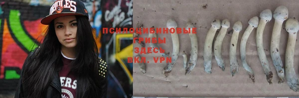 a pvp Иннополис