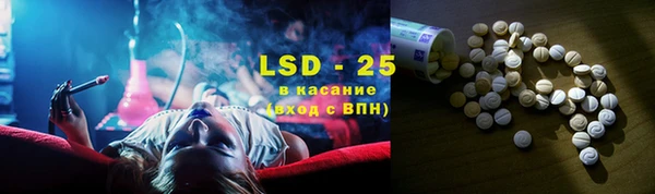 PSILOCYBIN Инсар