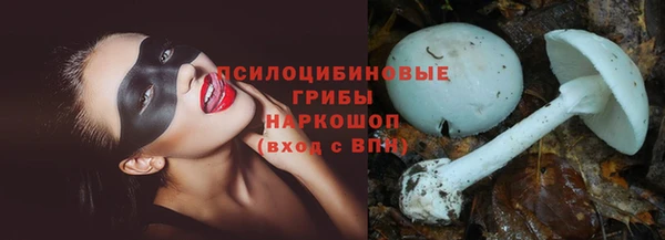 a pvp Иннополис