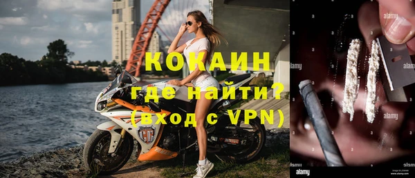 PSILOCYBIN Инсар