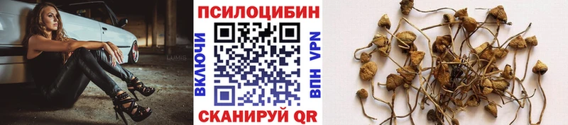 Галлюциногенные грибы ЛСД  Купить где  Истра 